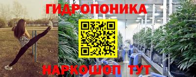 крисы Тула