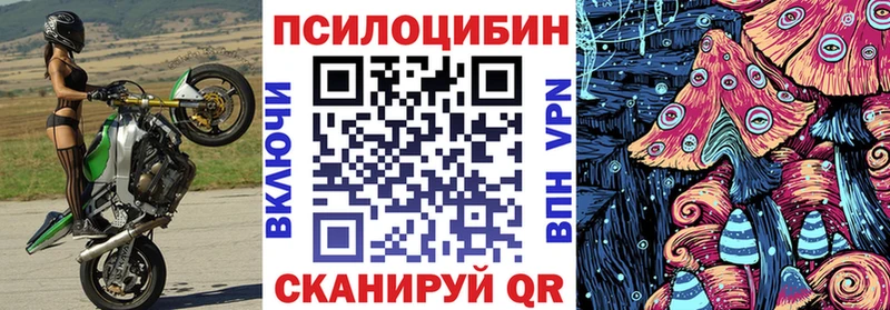 Галлюциногенные грибы Psilocybe купить наркотик Шарыпово